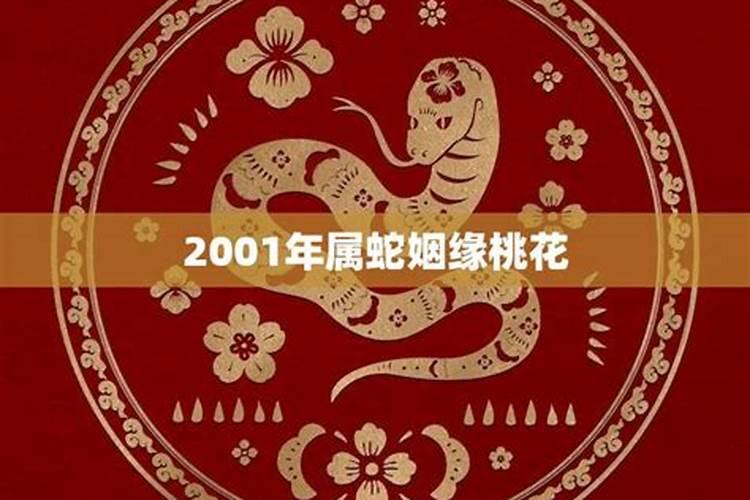 2001年属蛇女2020年