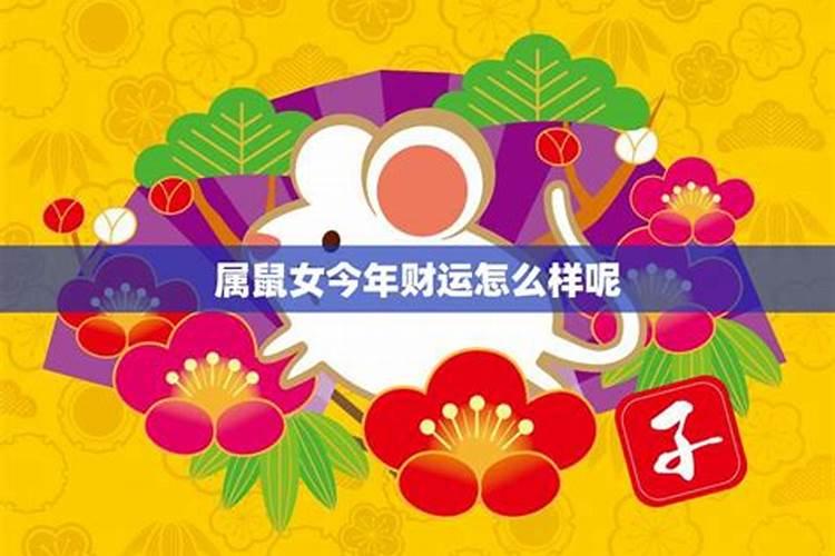 属鼠的2023年运势如何样