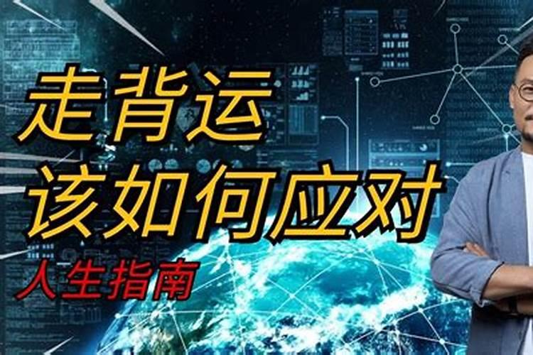 生肖鼠的2024年运势如何