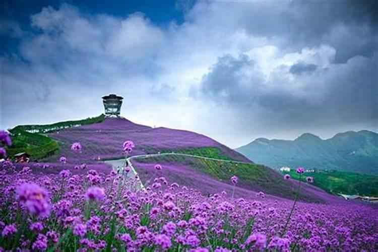 生肖猴犯太岁怎么破财