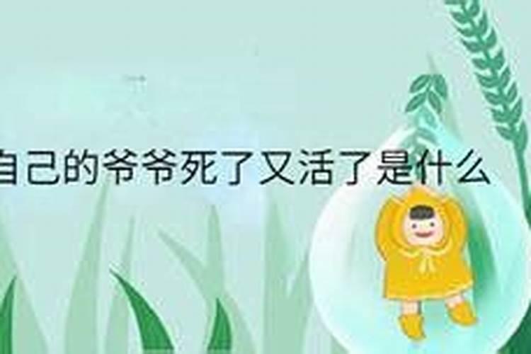 生辰八字有九个字的命运