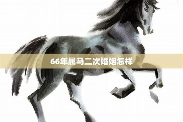 66年属马人注定的婚姻状况