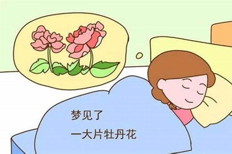 梦见前妻一家人什么征兆解梦