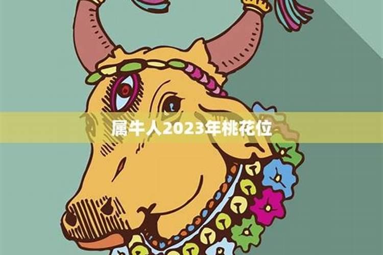 1997属牛人2021年桃花