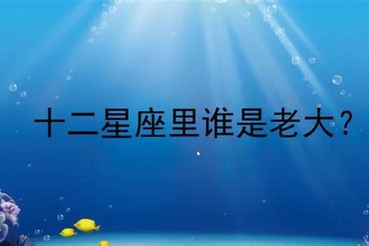 属牛1997年2024年运势及运程