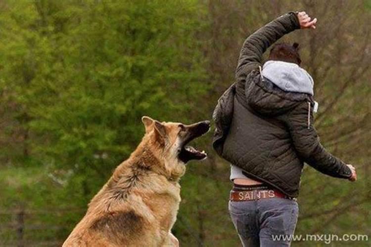 属羊和猪在一起合适吗女人