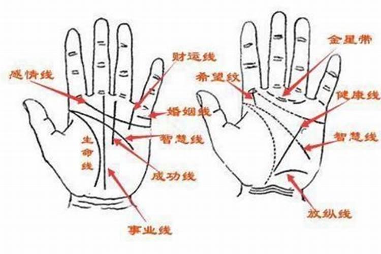 狮子座和天蝎座性格合得来吗