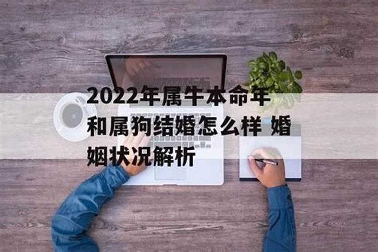 2022年属牛男的婚姻怎么样