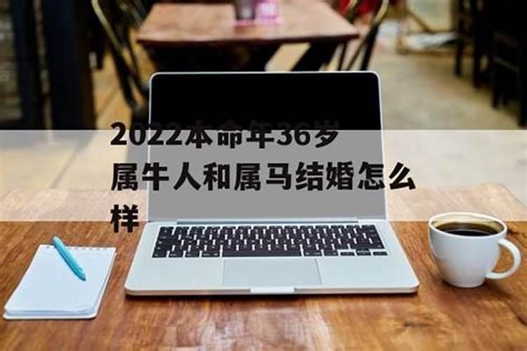 属牛的2022年结婚好吗