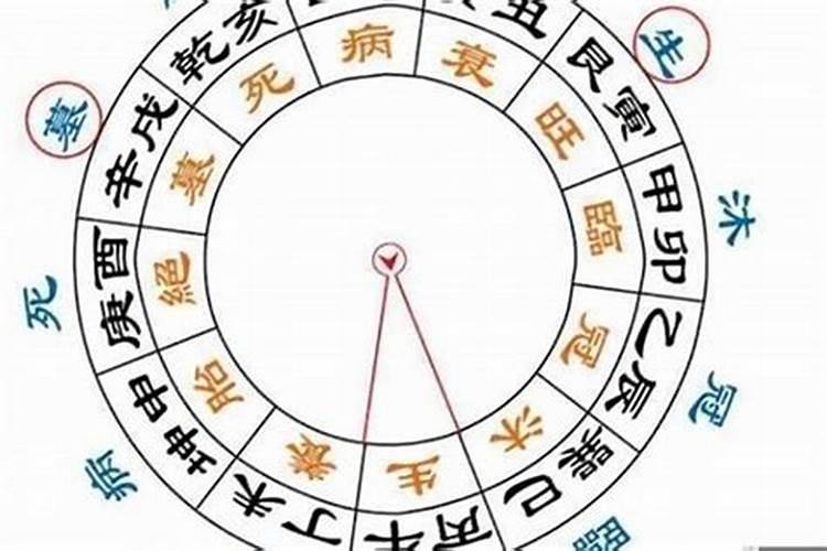 属老鼠的今年犯太岁吗