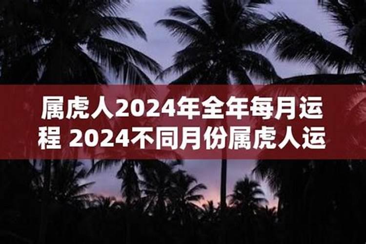 属蛇人今年财运好不好