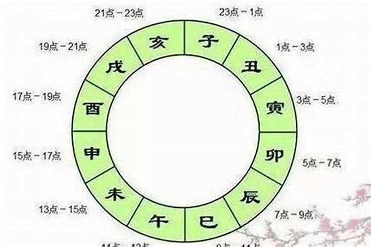 82年属狗的在2024年的运程