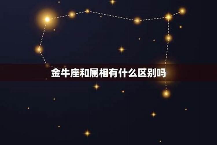 星座和属相有什么区别