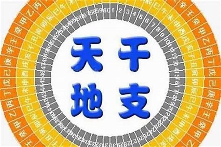 怎样看自己的八字命格属性是什么