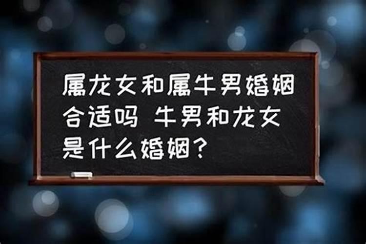 今年犯桃花劫的生肖