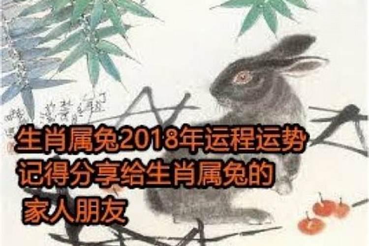 属兔人18运势怎么样