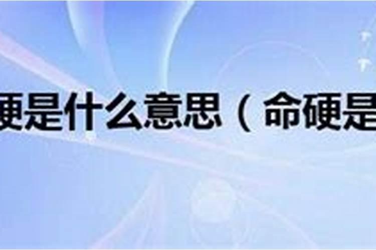 1981年下半年属鸡运势如何