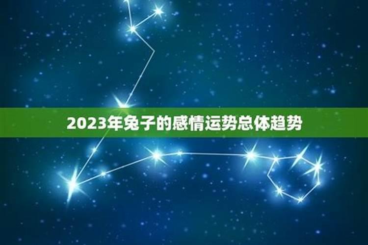 梦到龙预示着什么意思周公解梦