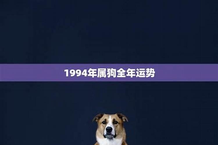 1994年2021属狗的全年运势