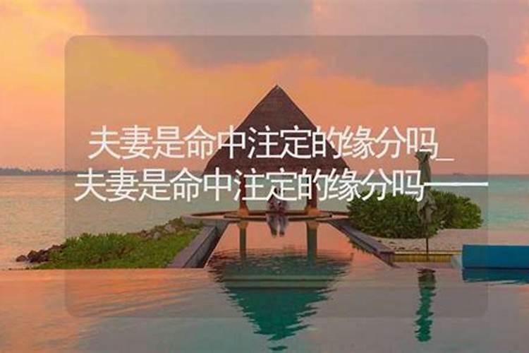 夫妻姻缘皆是命中注定的