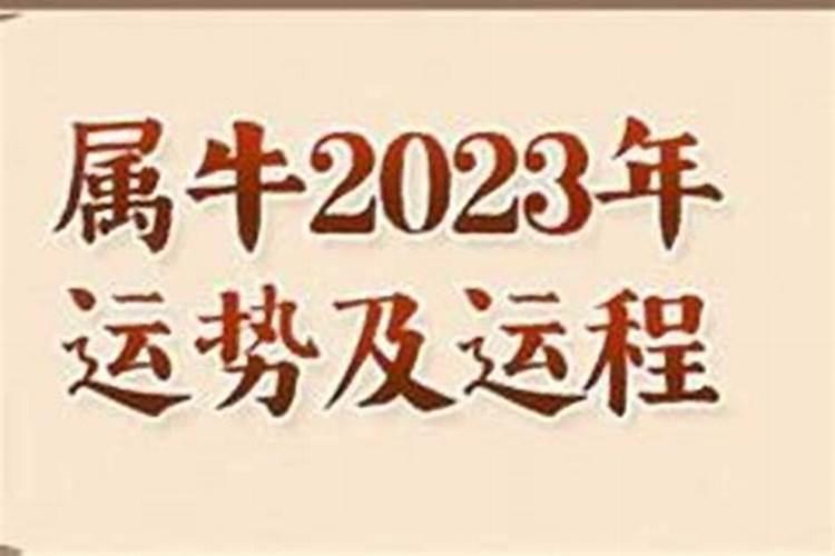 97年属牛女2023年