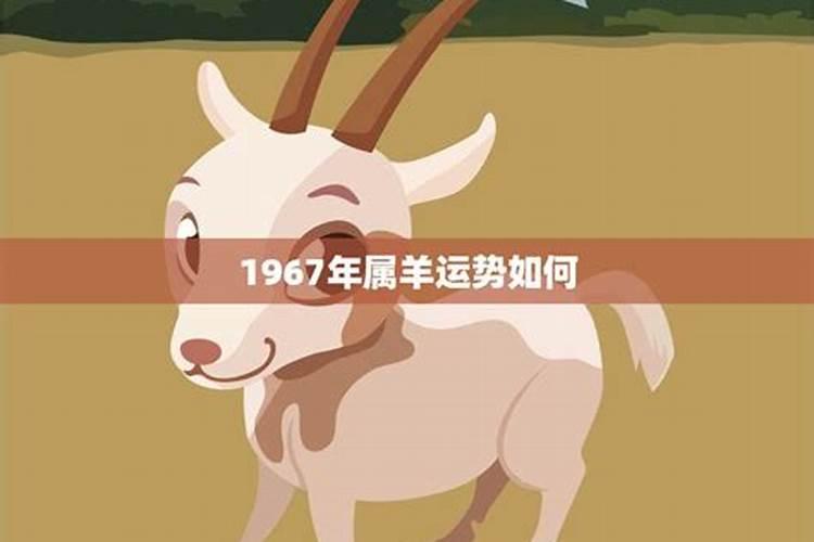 属羊的2023年运势如何