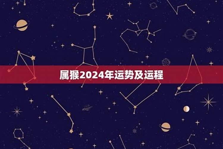 属猪八月运势2021