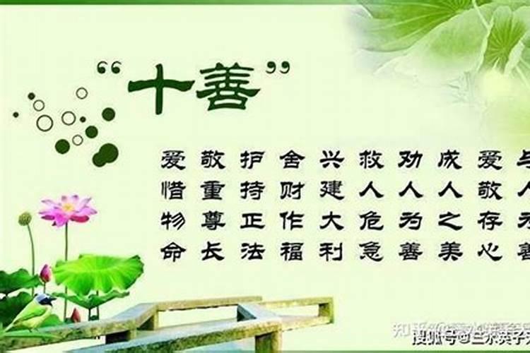 兔年今年犯太岁的生肖是什么意思