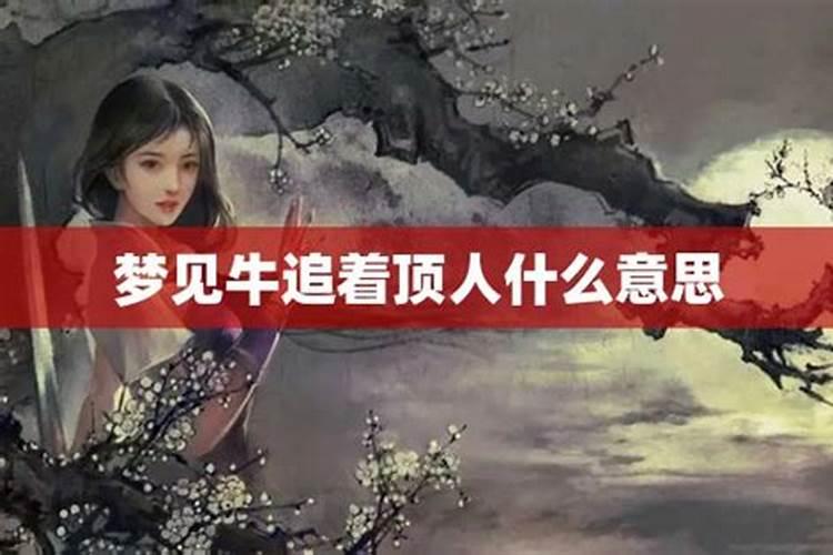 小年北小年南是指什么