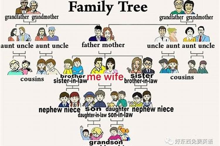 家庭和婚姻的关系英语作文