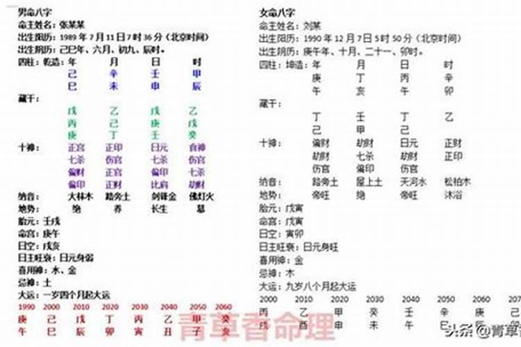 己卯兔2024年运势