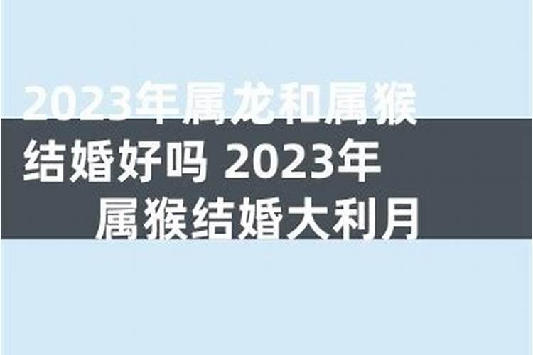 属猴的和属龙的婚配好吗