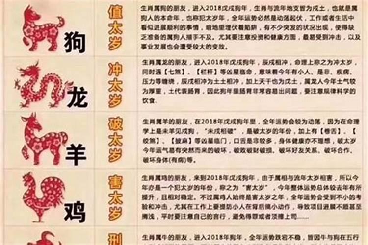 本命年虎年相克的属相