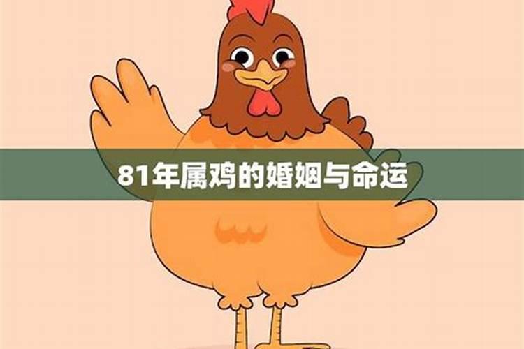 属鸡人的婚姻与命运怎么样