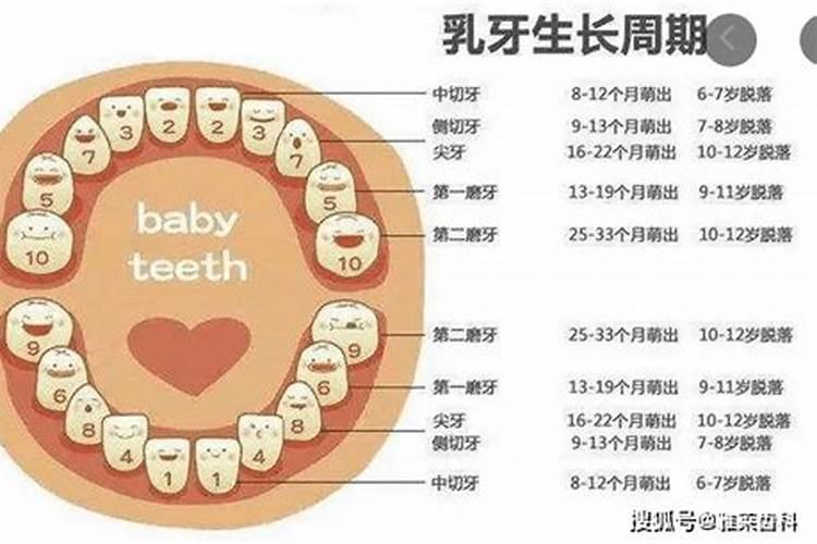 小孩多大可以换童子牙