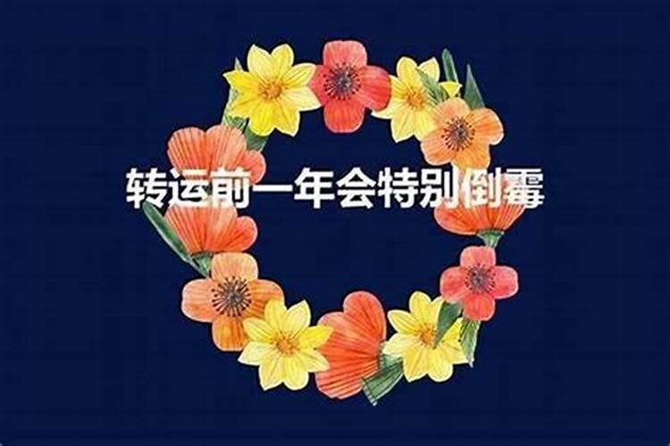 本命年前一年特别倒霉怎么办