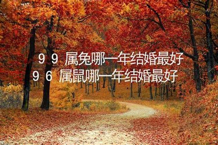 属兔的那一年结婚好