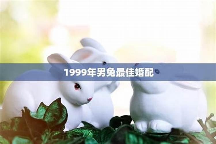 1999属兔最佳结婚年龄