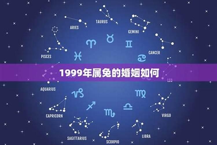 199属兔的婚姻怎么样