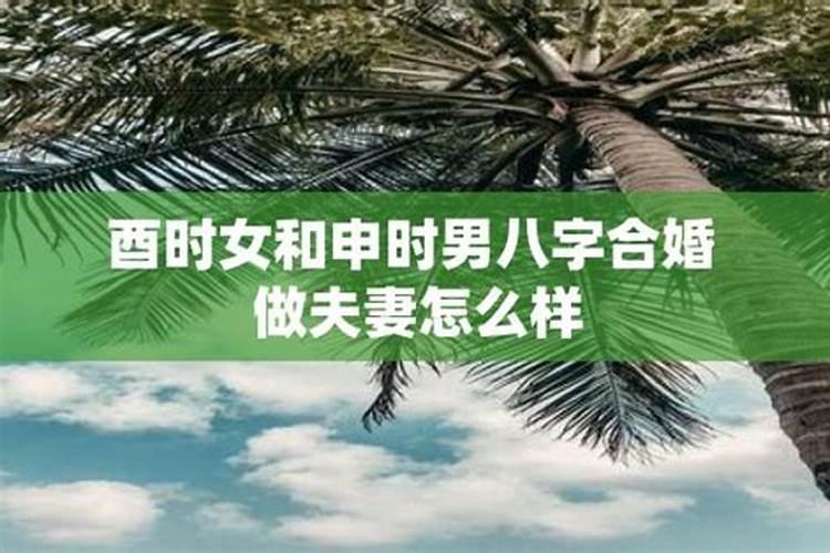 梦见龙困浅水是什么意思