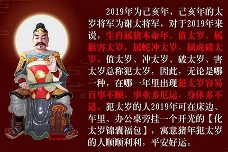 犯太岁2026生肖是什么