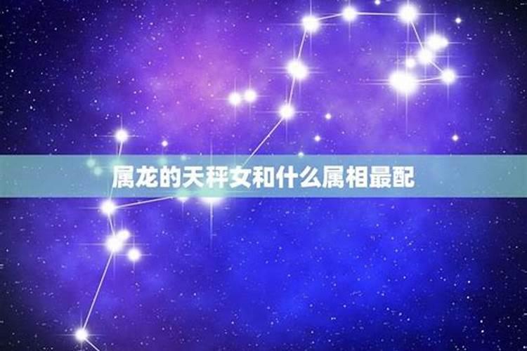 属龙相配的星座