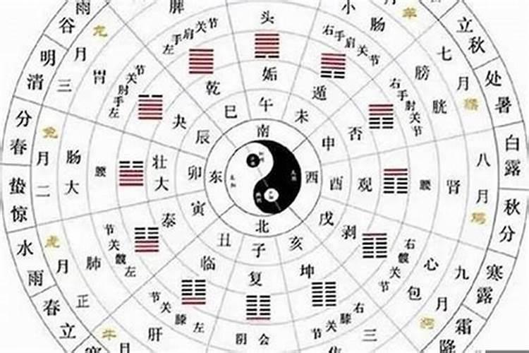 八字合婚看天干还是地支好