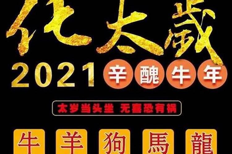 2021龙破太岁是什么意思啊