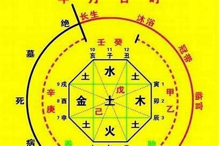 老婆梦见怀孕是什么意思