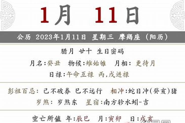 猪年属虎2024年运程