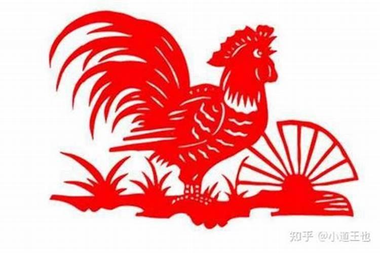 属鸡的流年运气怎么样