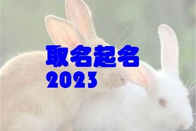 2023年属兔名字有博好吗