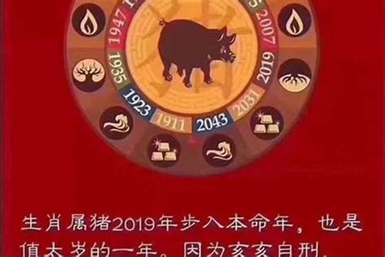 2019刑太岁的4大生肖