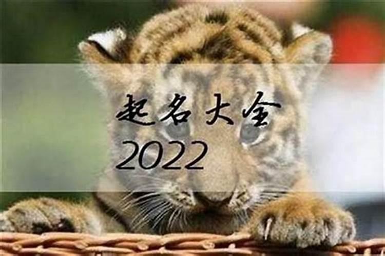 腊月狗2024年运程